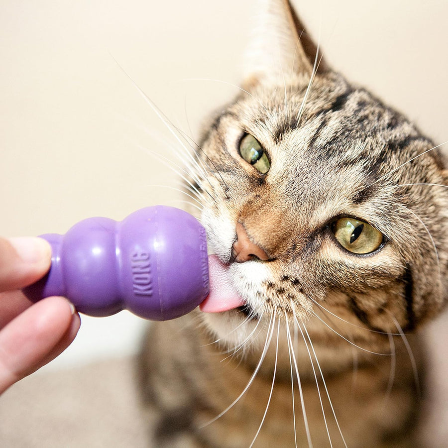 Kong Kitty Durable Natural Rubber Interactive Cat Toy
