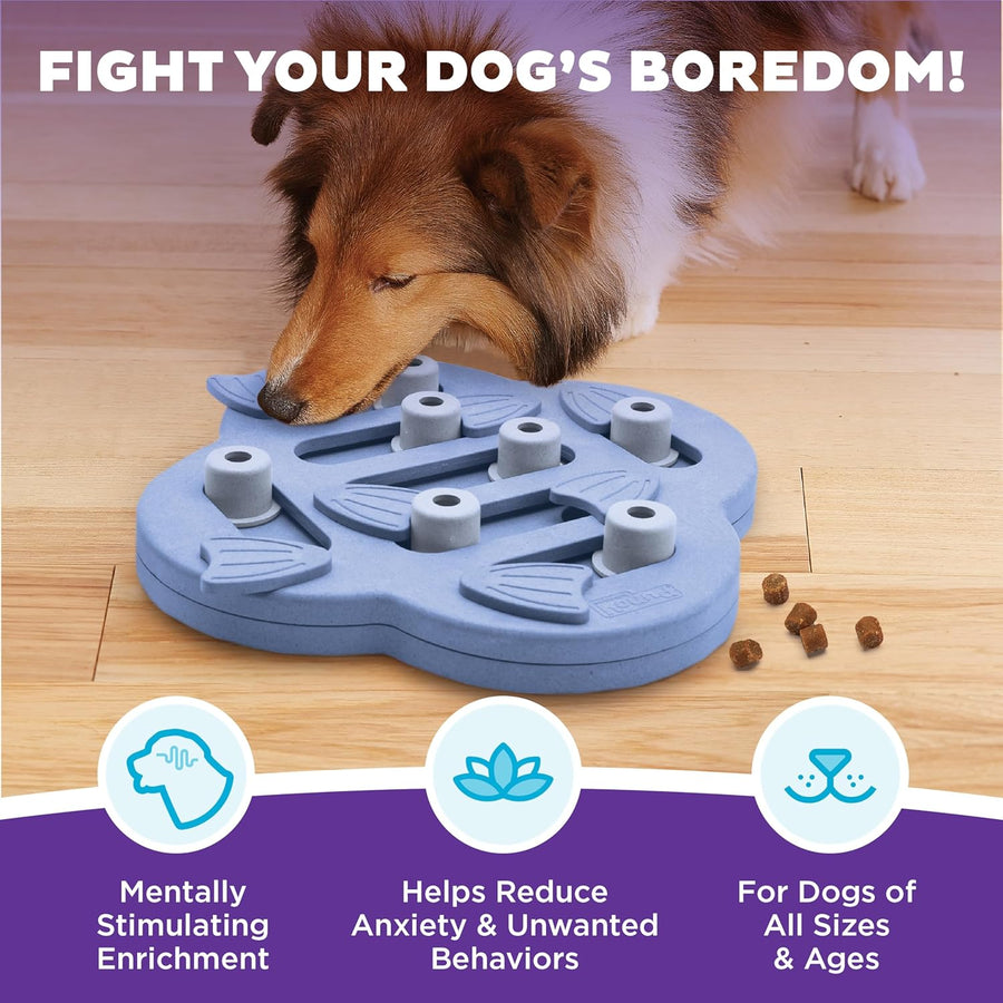 Outward Hound Dog Hide N Slide Interactive Treat Purple