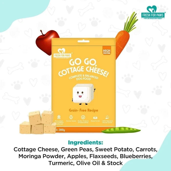 Fofos ErratiCat Cottage Cheese Box Cat Toy