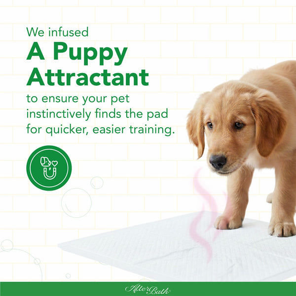 Afterbath SuperDry Training Pads for Dogs and Cats
