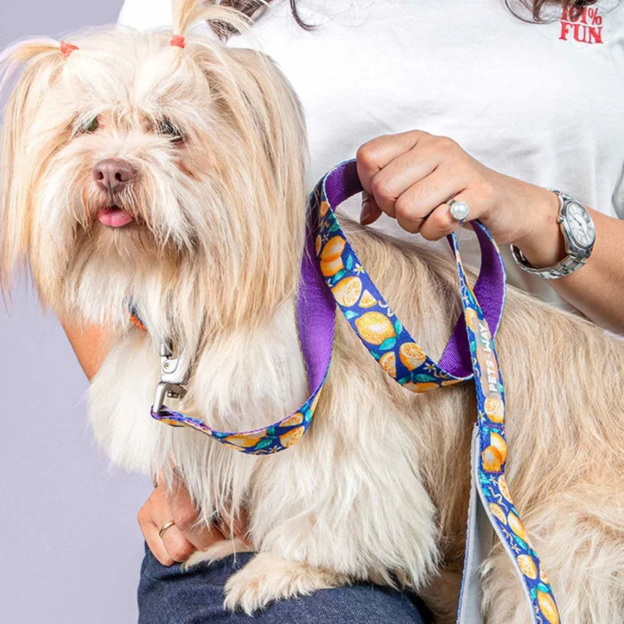 Pets Way Printed Collar For Dogs