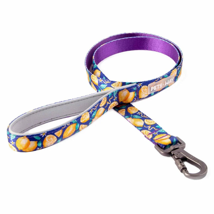 Pets Way Printed Leash For Dogs