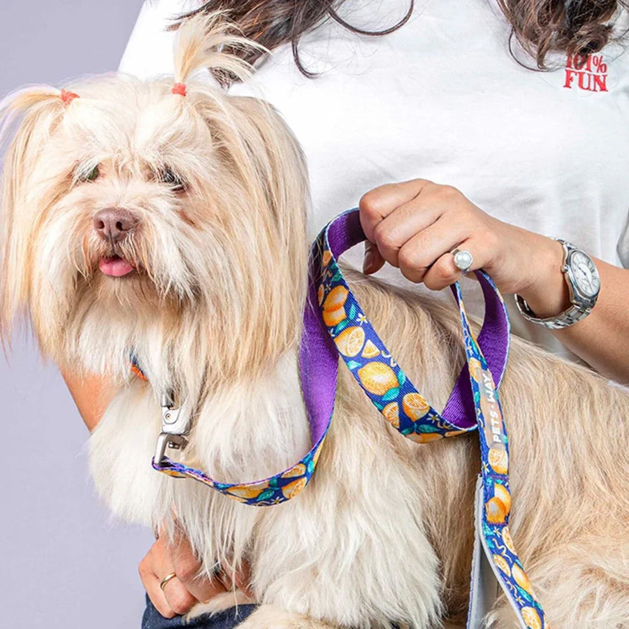 Pets Way Printed Leash For Dogs