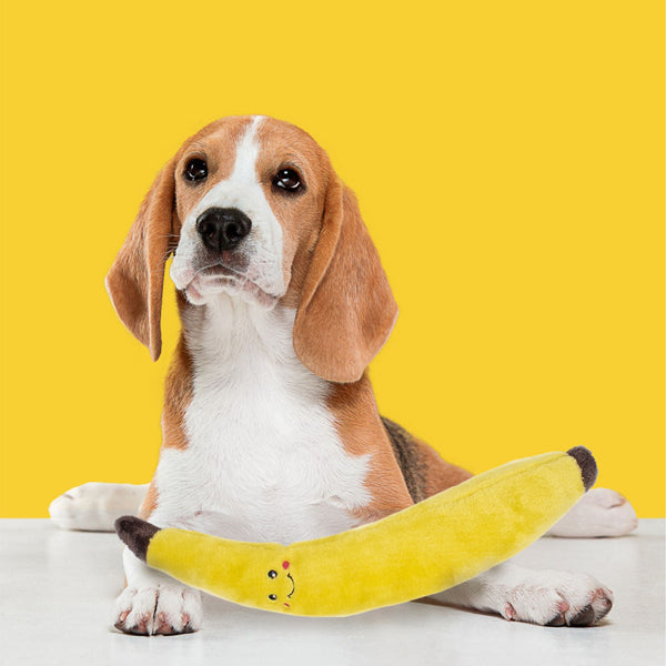Zippy Paws Banana Jigglerz Plush Toy for Dogs