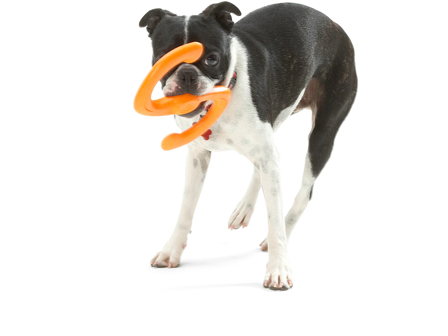 West Paw Bumi Dog Toys