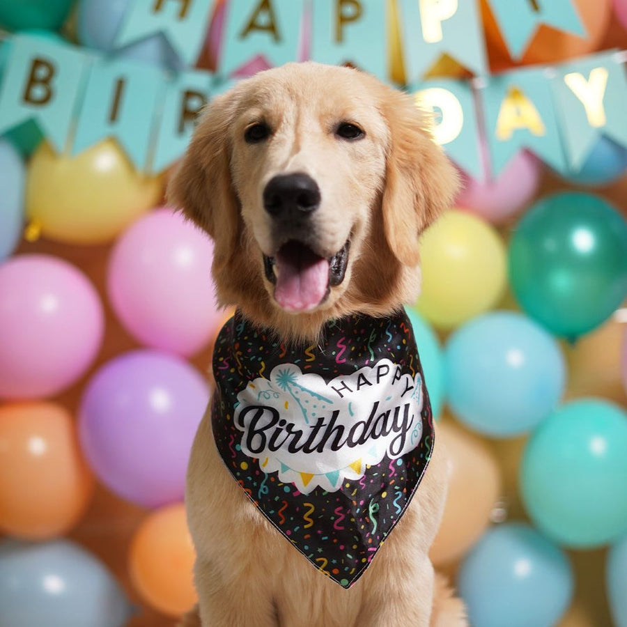 Pets Way Happy Birthday Bandana for Dogs