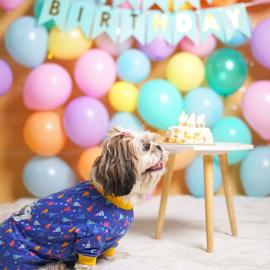 Pets Way Blue Birthday T-Shirt for Dogs
