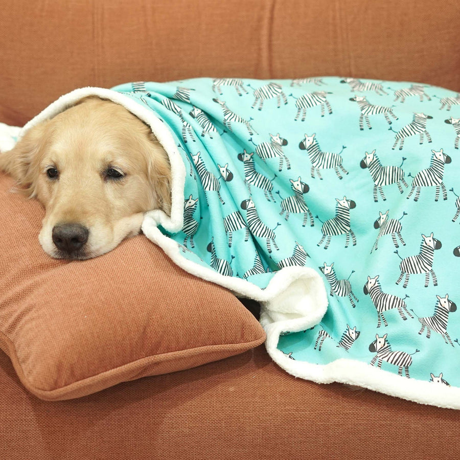 Pets Way Zebra Pet Blanket for Dogs