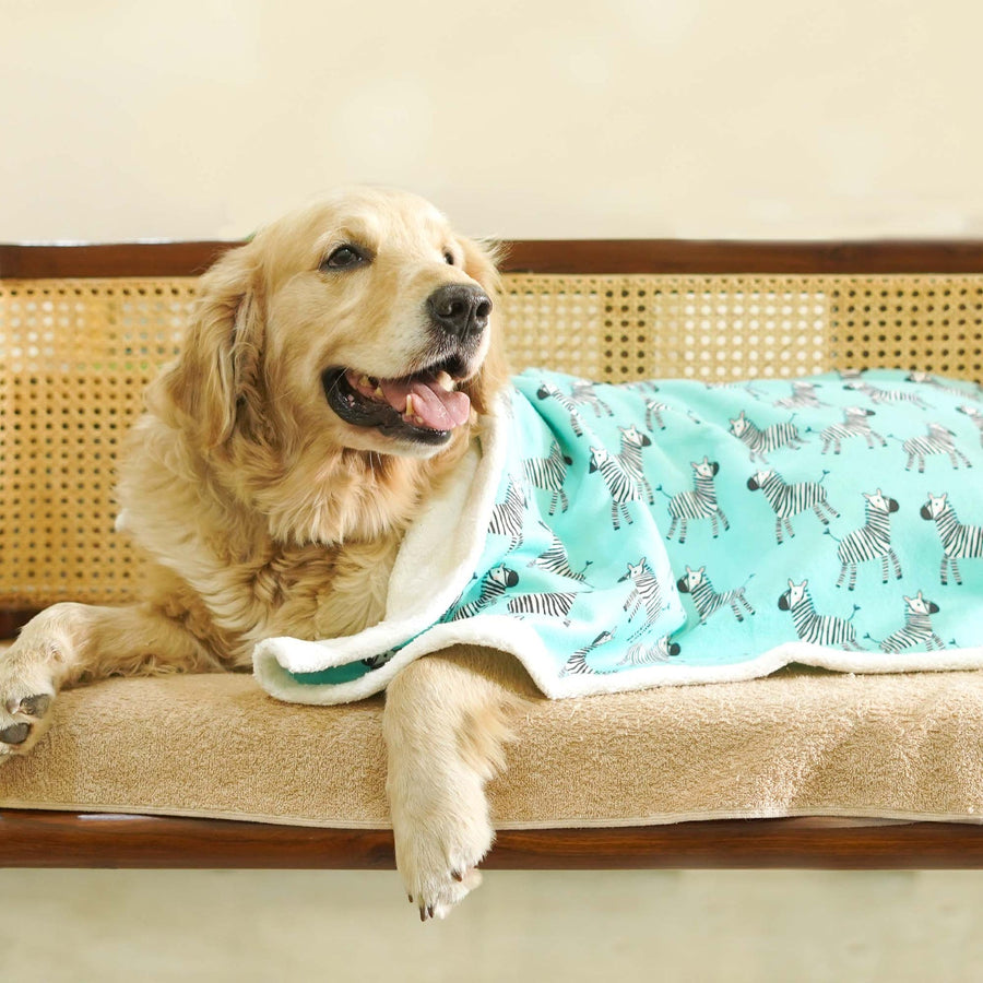 Pets Way Zebra Pet Blanket for Dogs