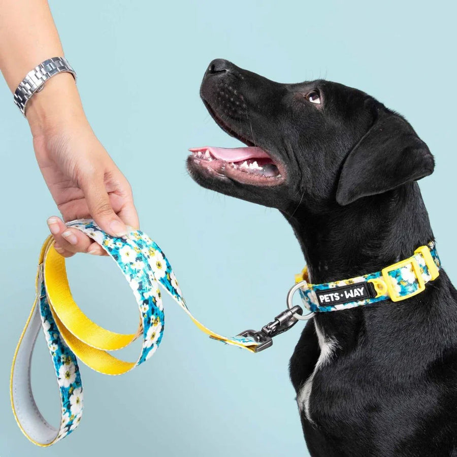 Pets Way Printed Leash For Dogs