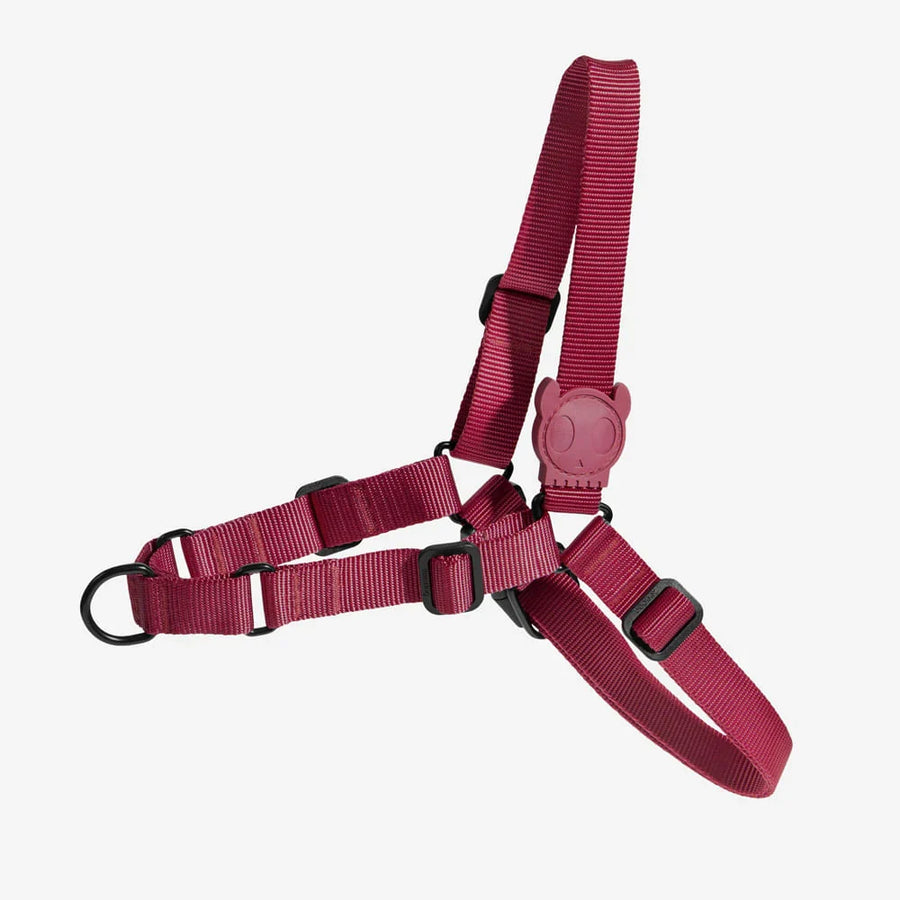 Zee Dog H-Harness for Dogs - Bordeau