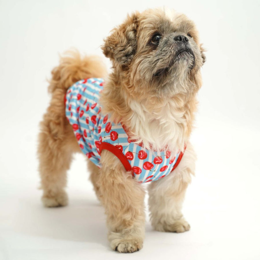 Pets Way Cherry Land Printed Vest for Dogs