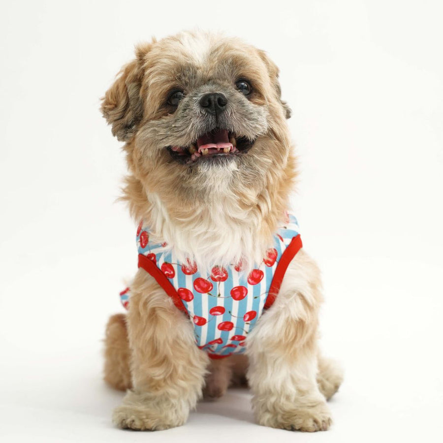 Pets Way Cherry Land Printed Vest for Dogs
