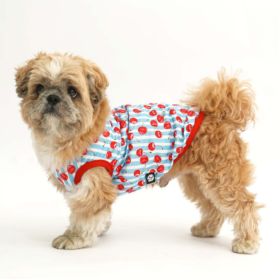 Pets Way Cherry Land Printed Vest for Dogs