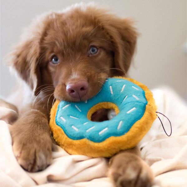 Zippy Paws Blueberry Donutz Plush Toy for Dogs