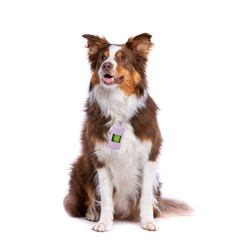 Fofos Poop Bags Set for Dogs and Cats (Purple)