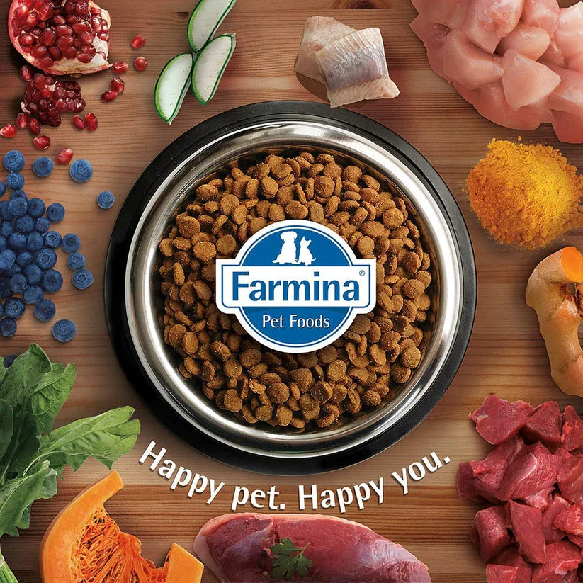 Farmina Team Breeder Top Puppy Dry Food