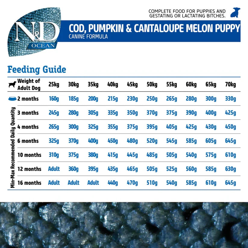 N&D Ocean Cod Pumpkin and Cantaloupe Melon Medium & Maxi Puppy Dry Food