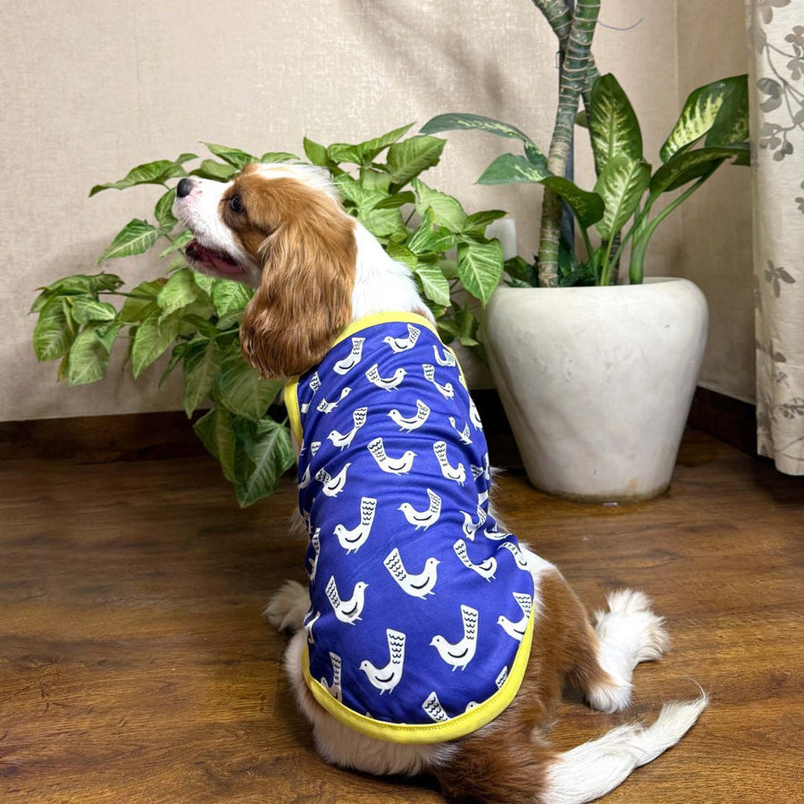 Pets Way Fly high Printed Vest for Dogs