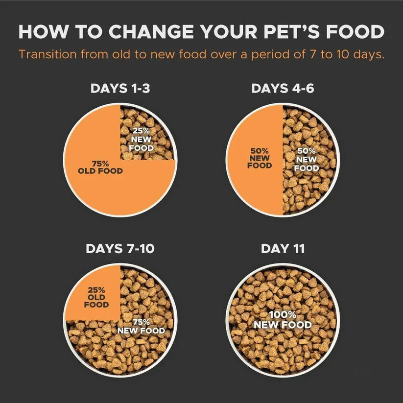N&D Pumpkin Lamb and Blueberry Medium & Maxi Adult Dog Dry Food