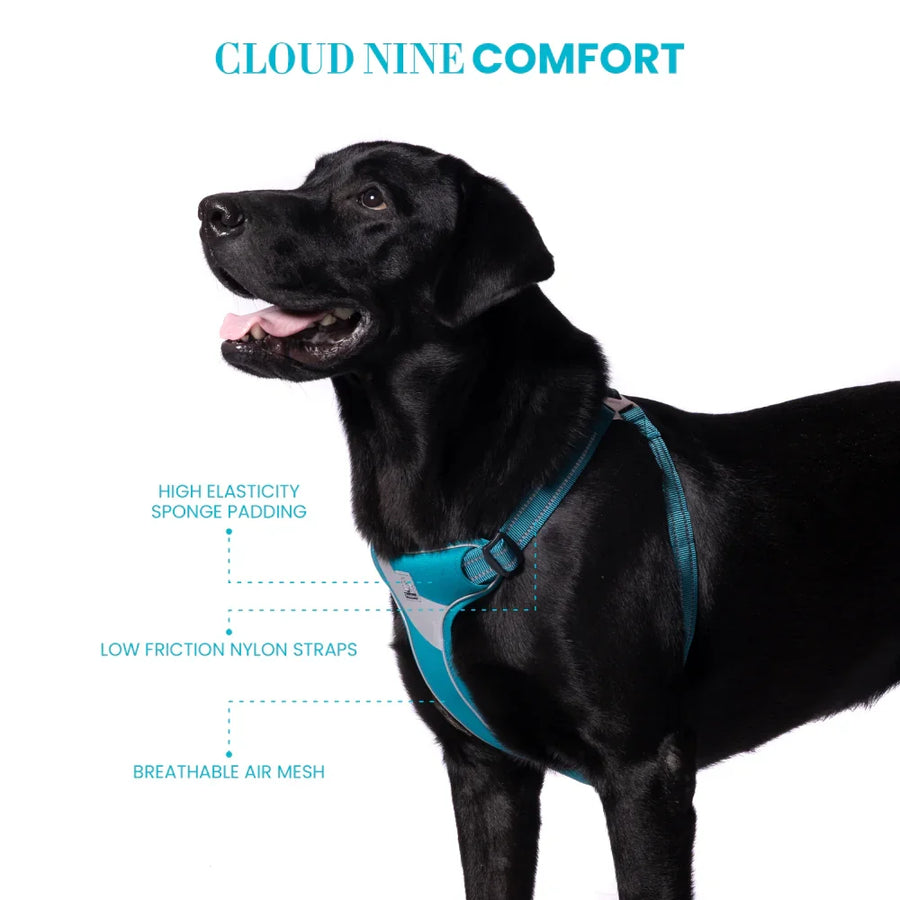 True Love Step In Harness for Dogs - 3M