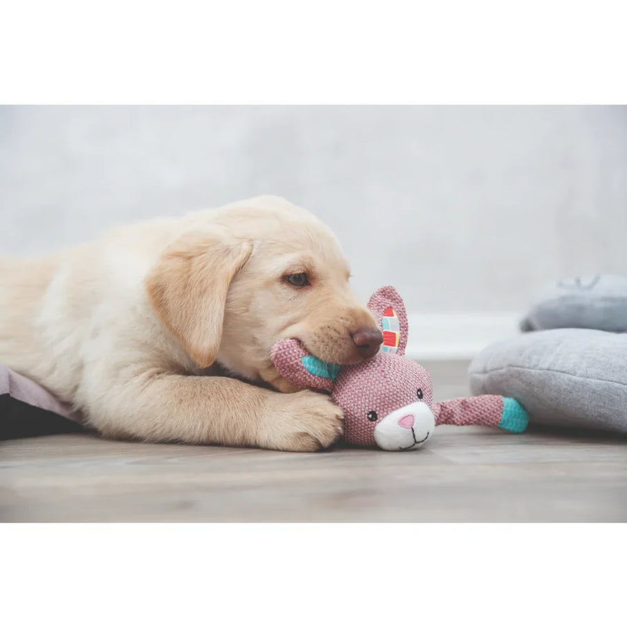 Trixie Junior Bunny Toy for Dogs