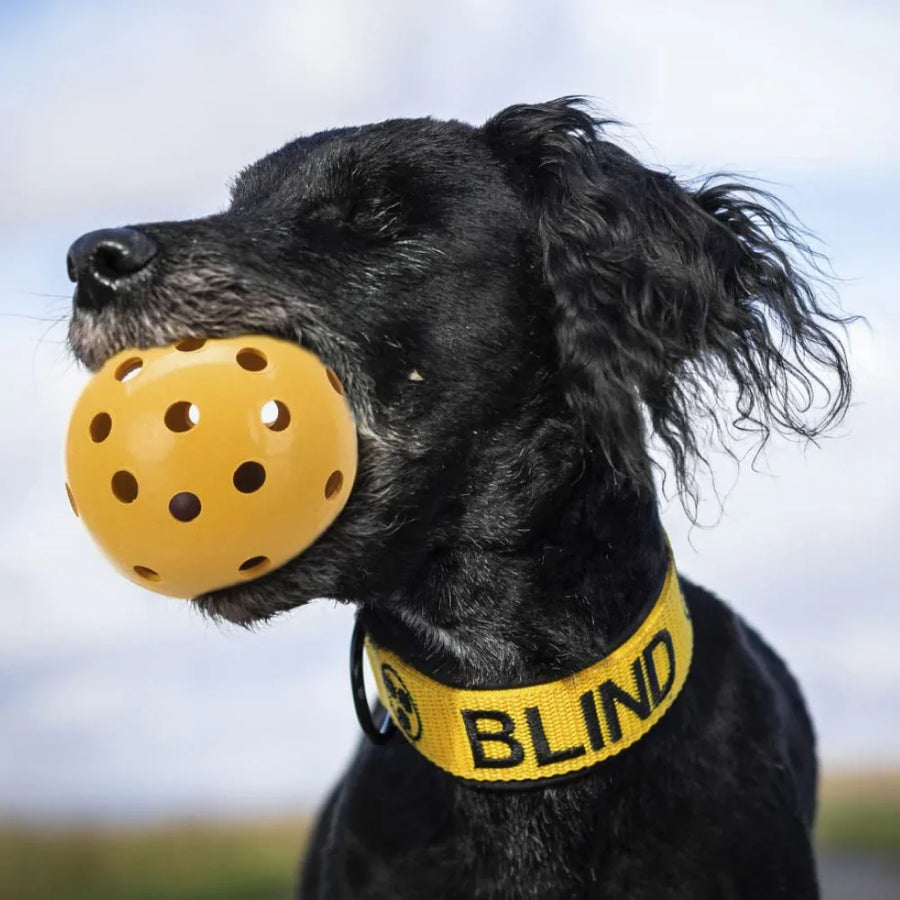 Trixie Hole Ball with Bell Natural Rubber Toy for Dogs