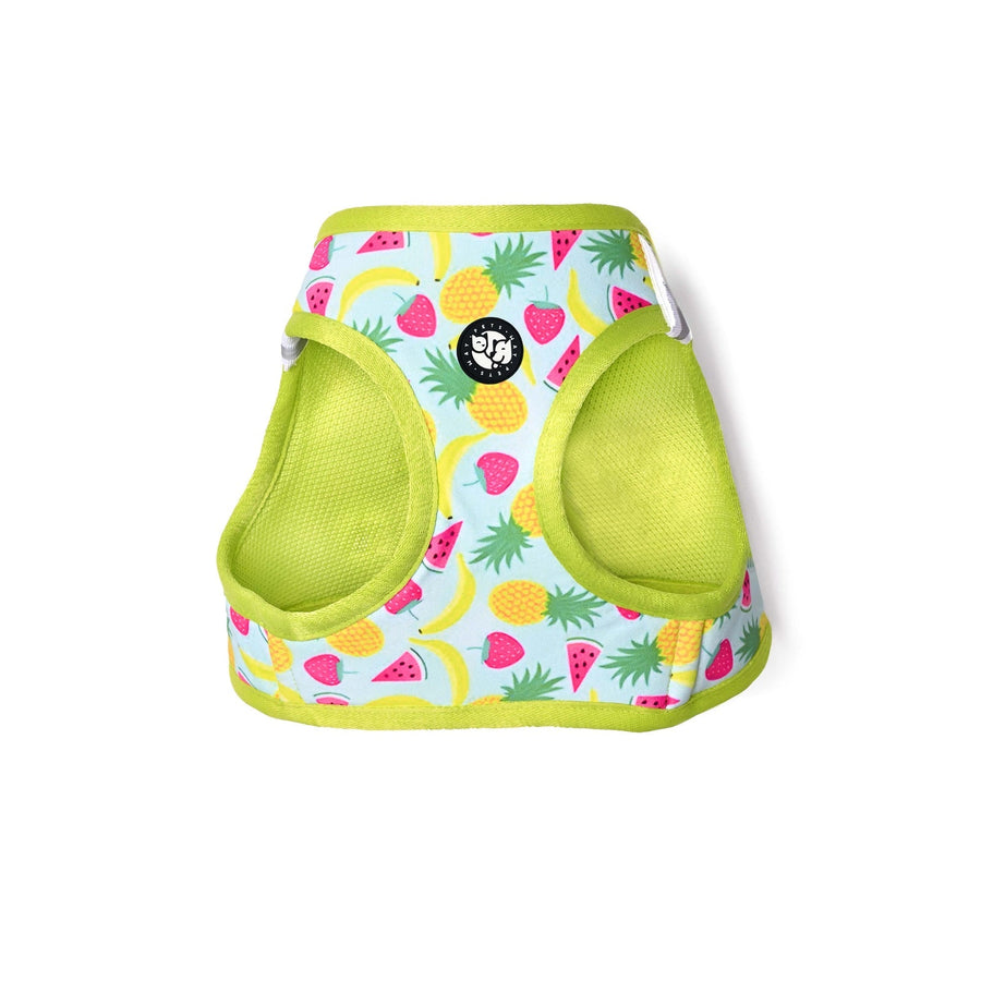 Pets Way Fruity Printed Mesh Harness for Small Dogs