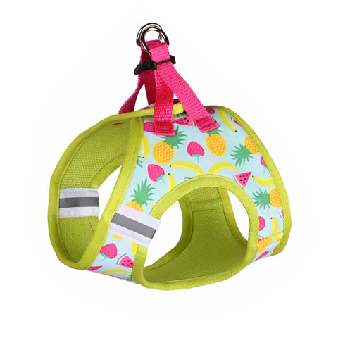 Pets Way Fruity Printed Mesh Harness for Small Dogs