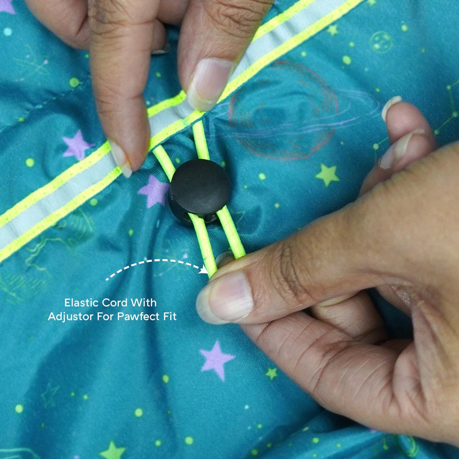 Pets Way Furcast Spaceship Raincoat for Dogs