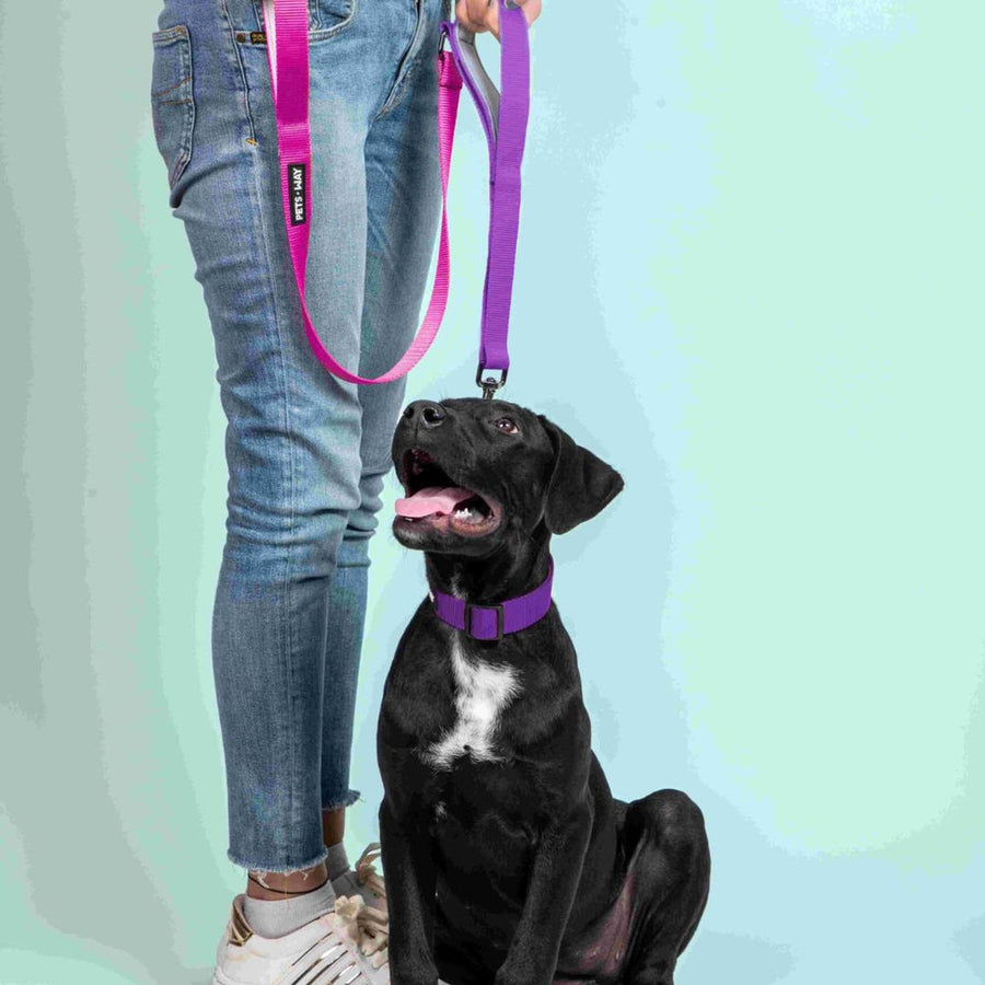 Pets Way Dual Handle Leash For Dogs