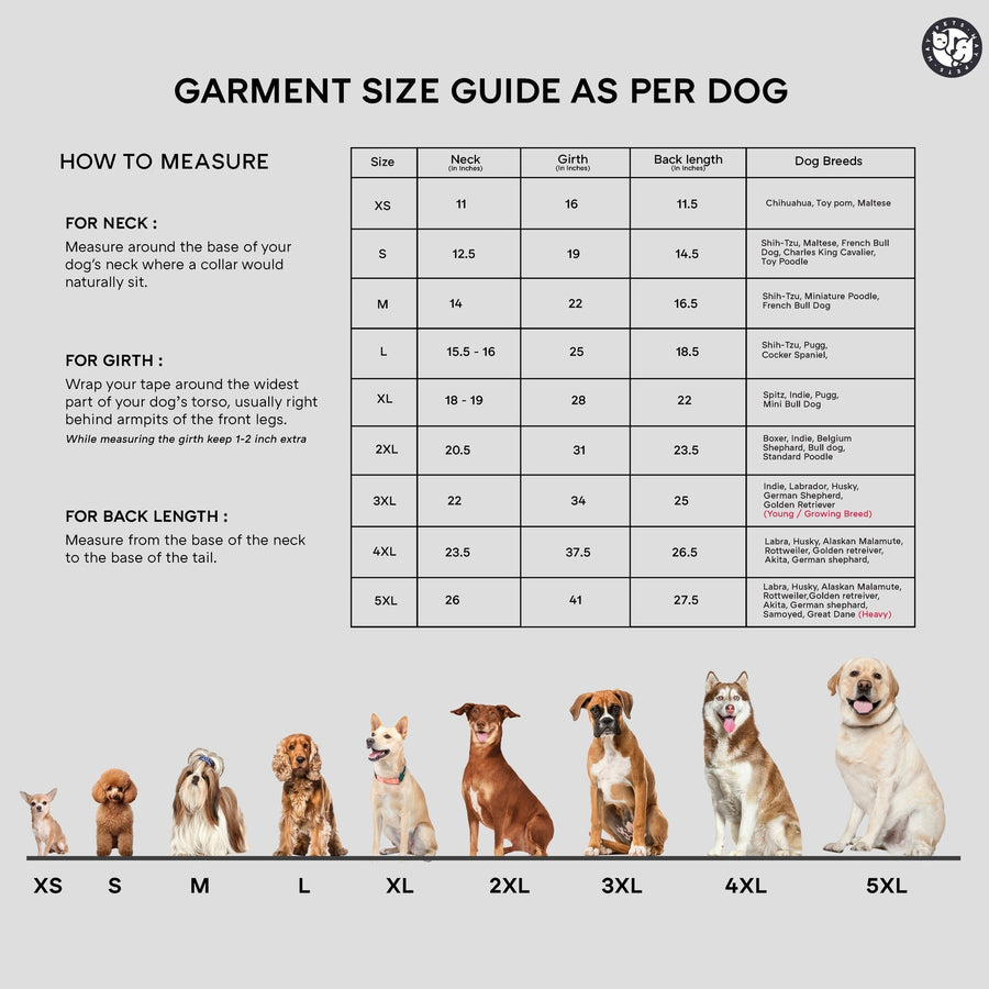 Pets Way Taxi Fetch Vest for Dogs