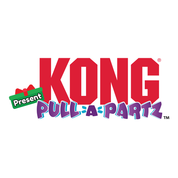 Kong Pull A Partz Present Toy for Cats