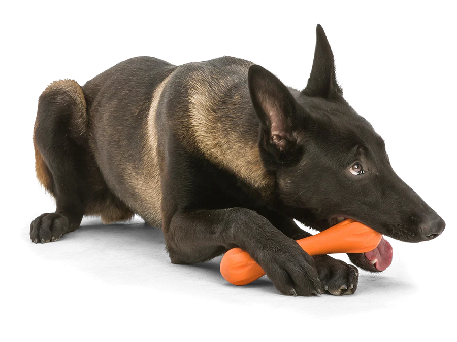 West Paw Zogoflex Hurley Dog Bone Toy