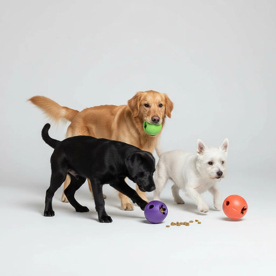 West Paw Rumbl Dog Chew Toy