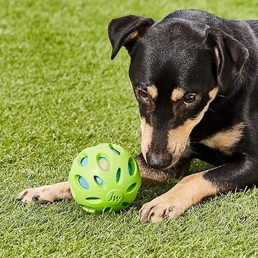 JW Pet Assorted Heads Crackle Ball Dog Toy