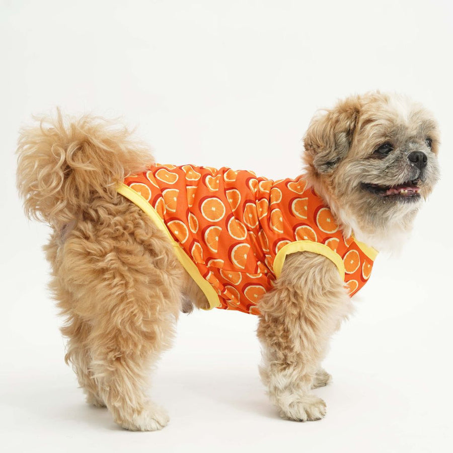 Pets Way Juicy Printed Vest for Dogs