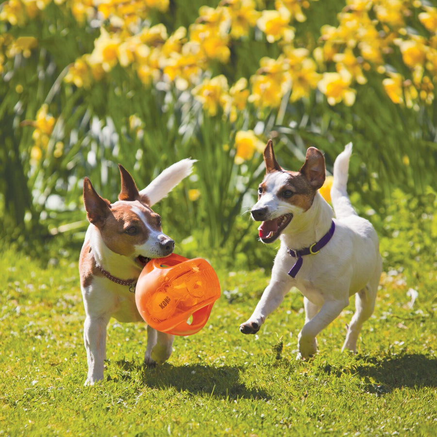 Kong Jumbler Ball Interactive Dog Toy