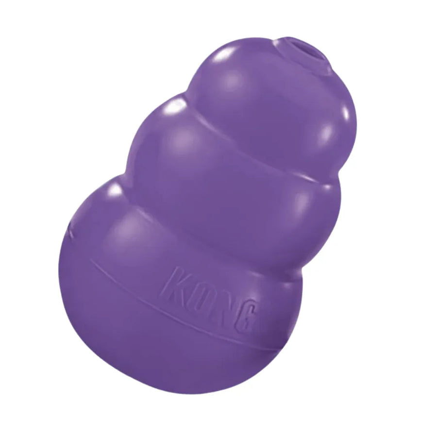 Kong Senior Dog Chew Toy