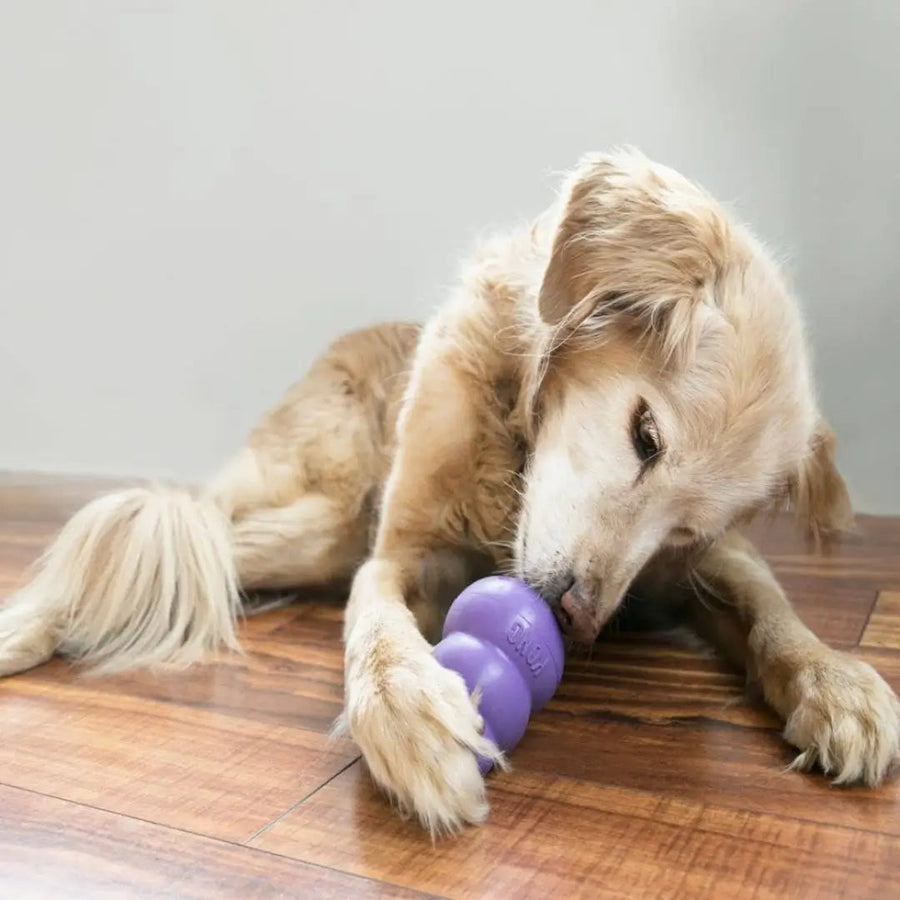 Kong Senior Dog Chew Toy