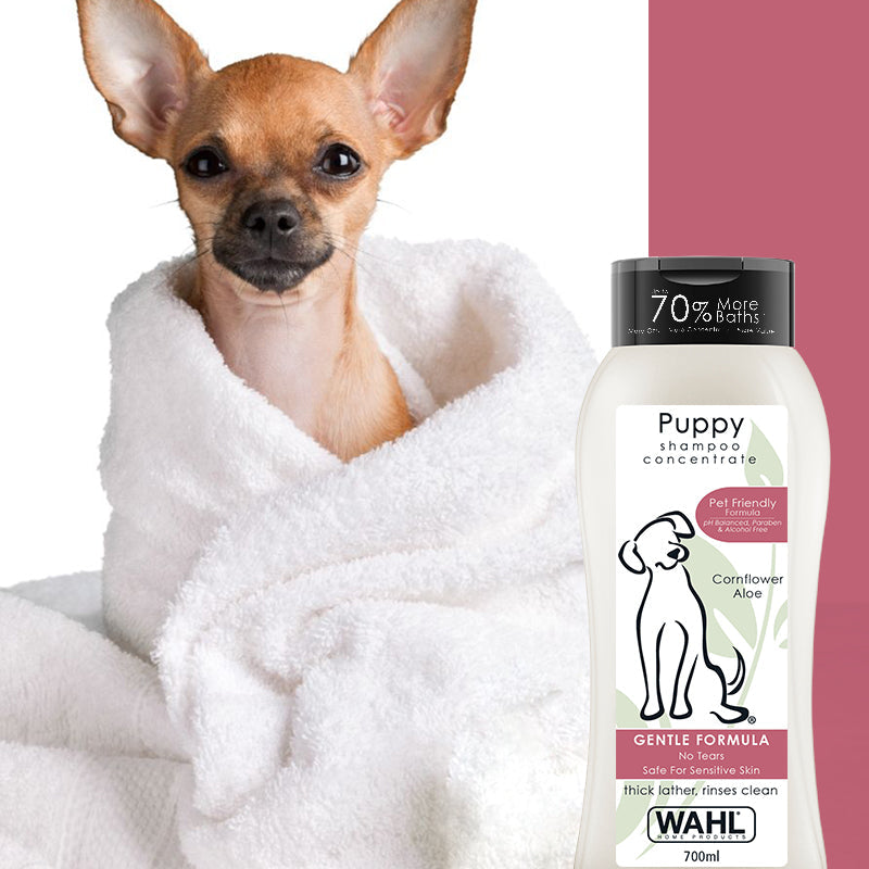Wahl Concentrated Shampoo with Cornflower and Aloe for Puppy