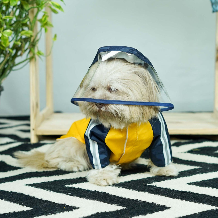 Pets Way Rainstorm Canary Raincoat for Dogs