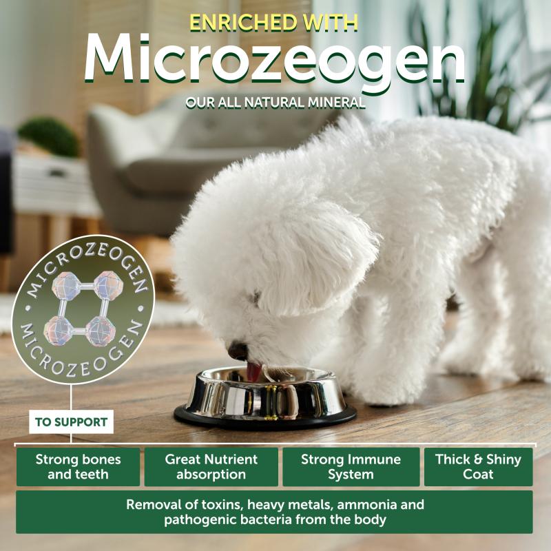 Nature's Protection Superior Care White Dogs Grain Free Salmon Starter All Breeds Dog Dry Food