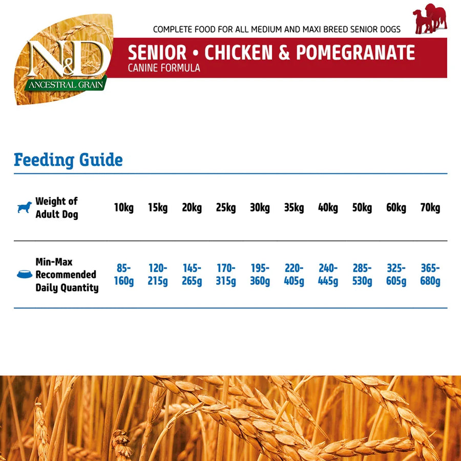 N&D Ancestral Grain Chicken & Pomegranate Medium & Maxi Senior Dog Dry Food