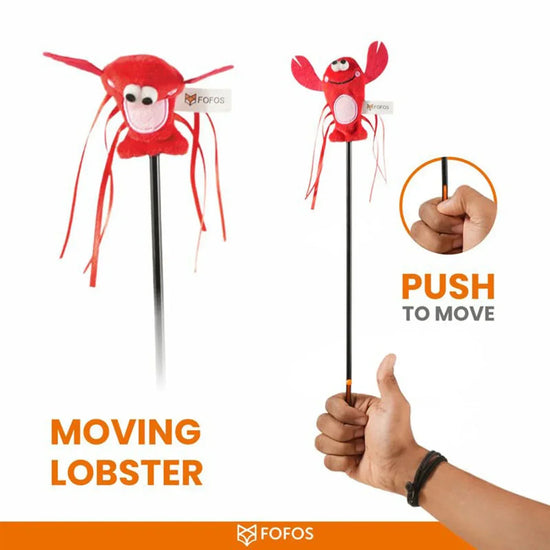 Fofos Cat Wand Moving Lobster