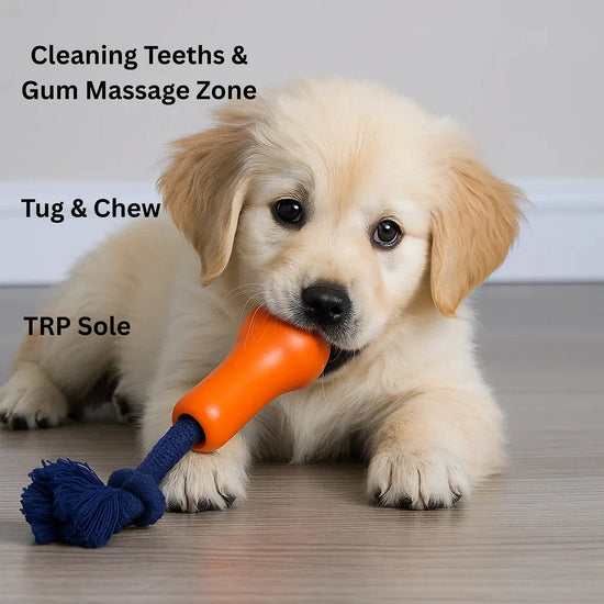 Joyser Ropper Dog Toy