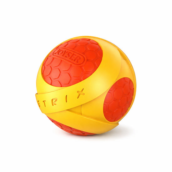 Joyser Netrix Ball Dog Toy