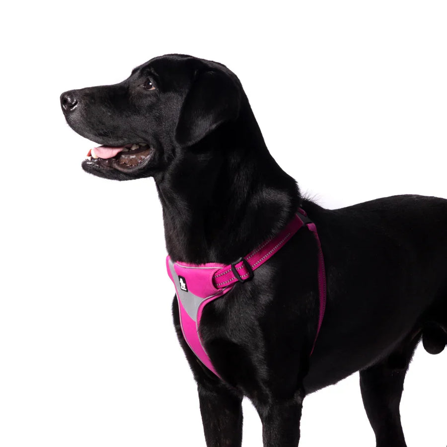Truelove Step in Harness for Dogs - Small