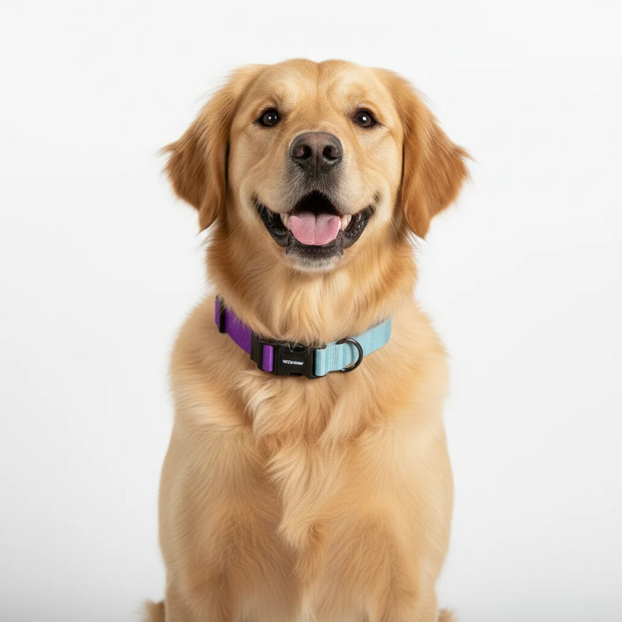 Pets Way Dual Color Collar For Dogs