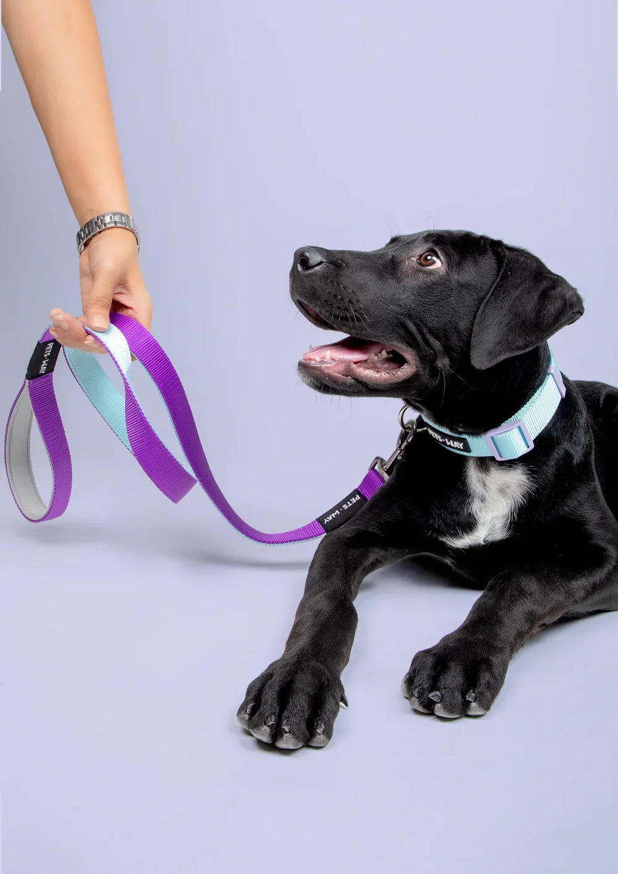 Pets Way Classic Padded Leash For Dogs